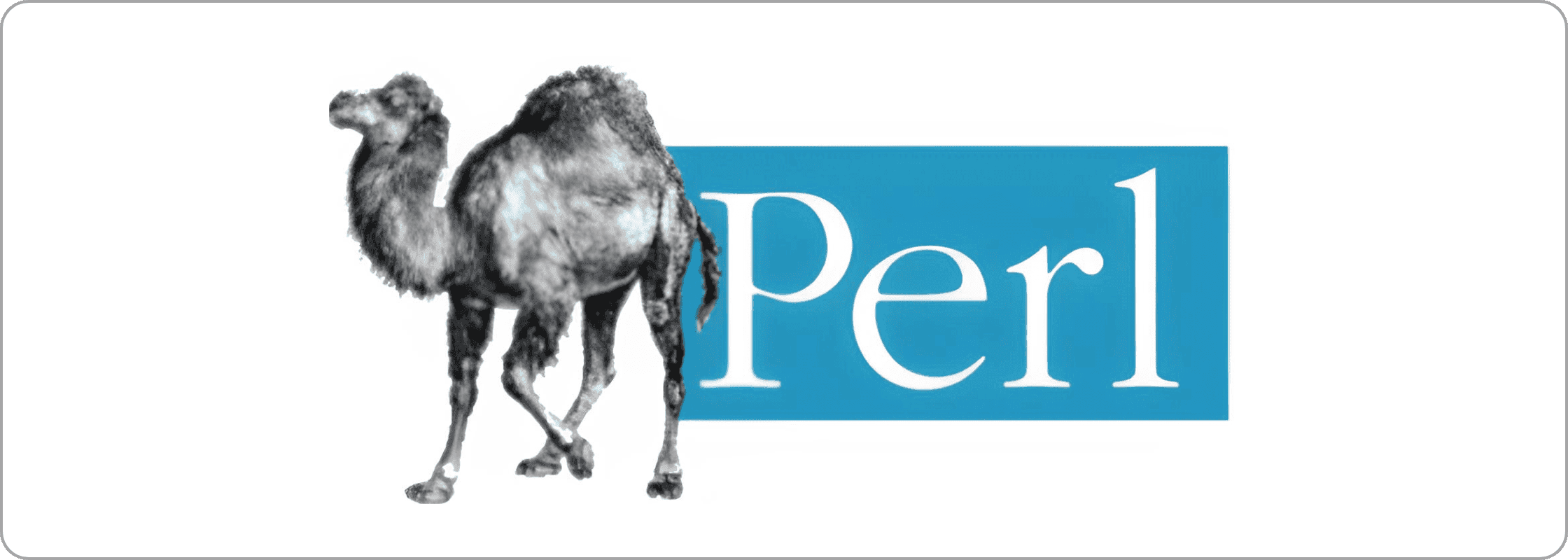 16 programming languages - Perl