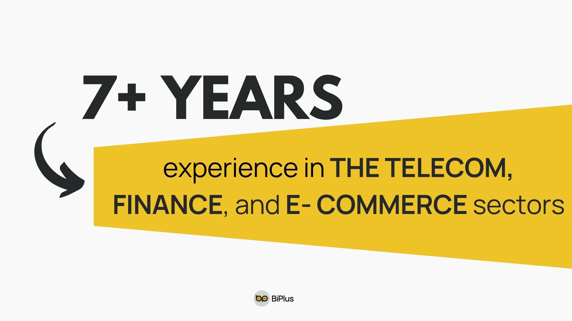 BiPlus has 7+ years of experience in the telecom, finance, and e-commerce sectors