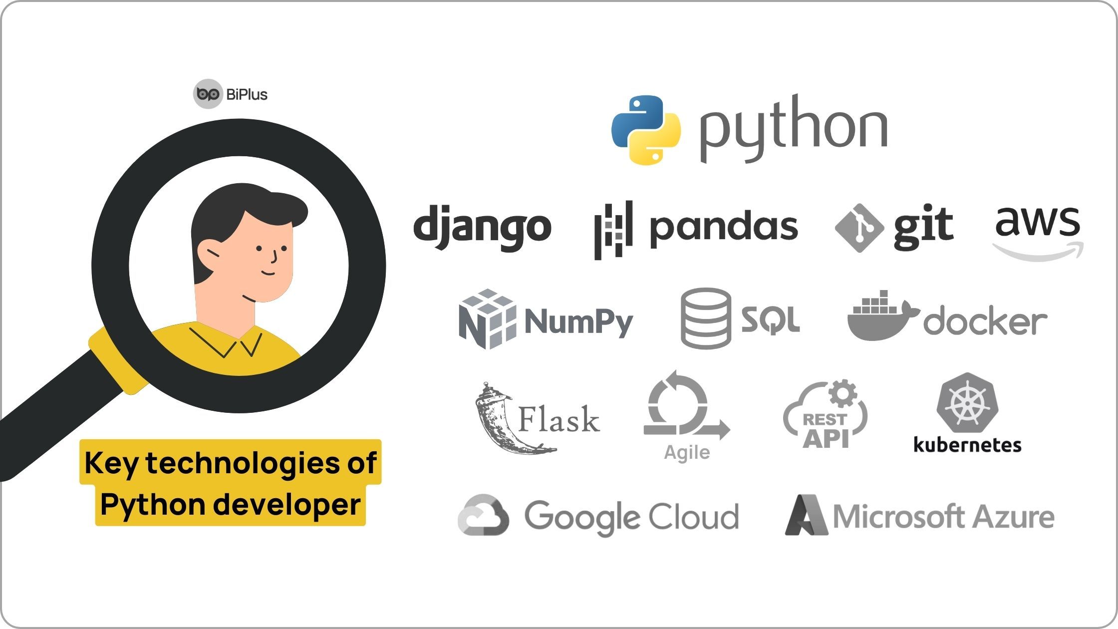 Key skills and technologies of Python developers