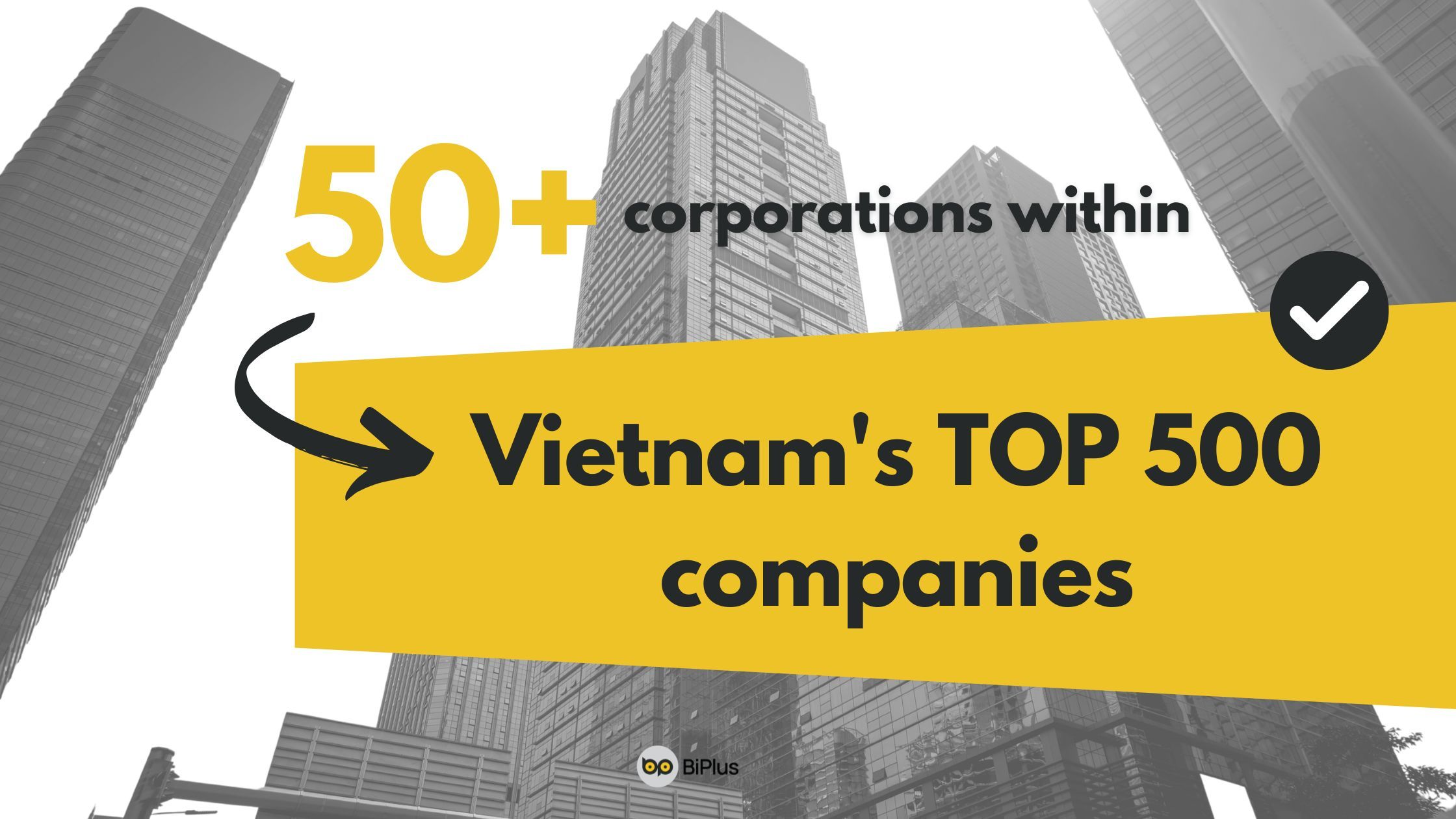 BiPlus has served over 50+ corporations within Vietnam's Top 500 companies.