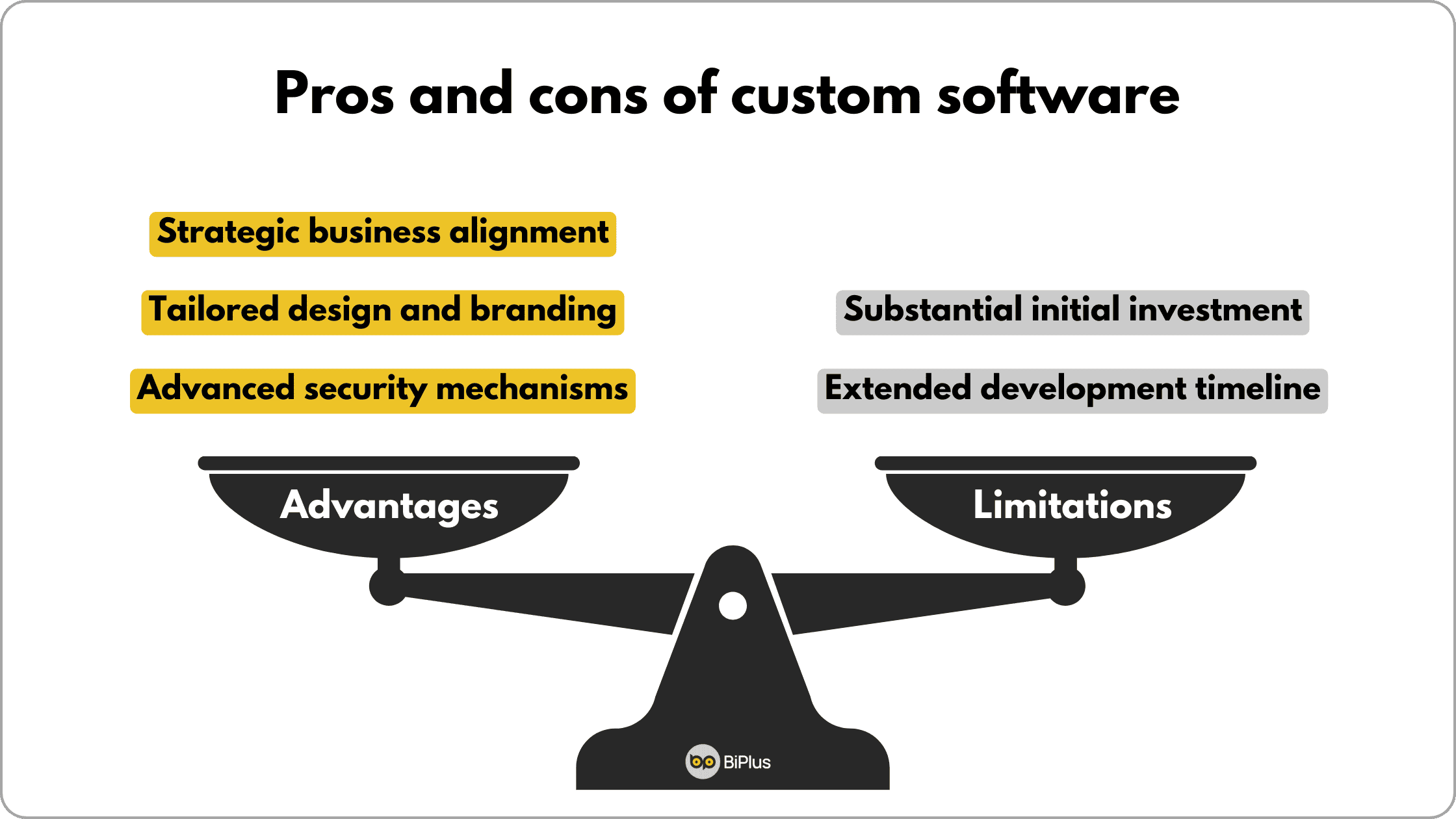 advantages and limitations of custom software